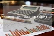 山东2017注册会计师查询_注会成绩怎么查