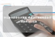 什么是小企业会计准则_企业会计制度和企业会计准则有什么区别