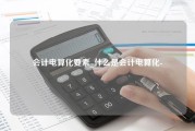 会计电算化要素_什么是会计电算化-