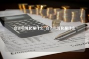 会计电算化是什么_会计电算化是什么