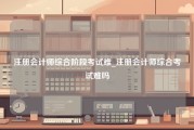 注册会计师综合阶段考试难_注册会计师综合考试难吗