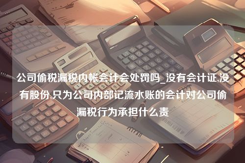 公司偷税漏税内帐会计会处罚吗_没有会计证,没有股份,只为公司内部记流水账的会计对公司偷漏税行为承担什么责