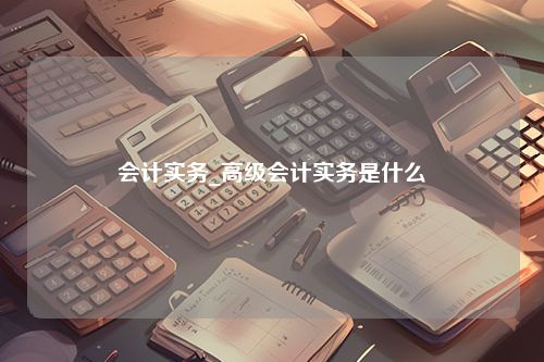 会计实务_高级会计实务是什么