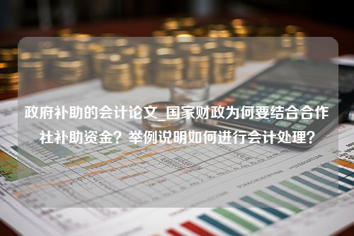 政府补助的会计论文_国家财政为何要结合合作社补助资金？举例说明如何进行会计处理？