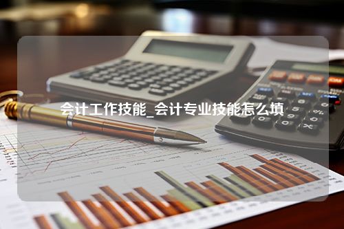 会计工作技能_会计专业技能怎么填