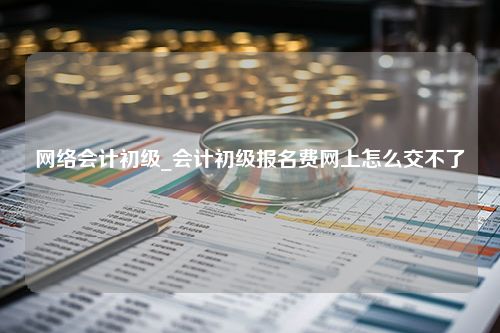 网络会计初级_会计初级报名费网上怎么交不了