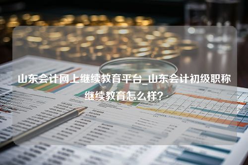 山东会计网上继续教育平台_山东会计初级职称继续教育怎么样？