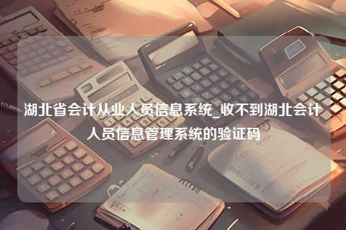 湖北省会计从业人员信息系统_收不到湖北会计人员信息管理系统的验证码