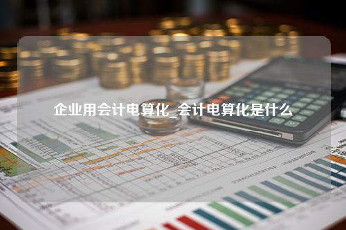 企业用会计电算化_会计电算化是什么