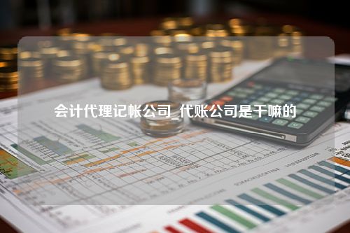 会计代理记帐公司_代账公司是干嘛的