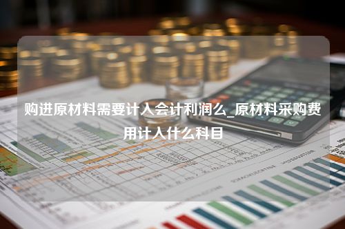 购进原材料需要计入会计利润么_原材料采购费用计入什么科目