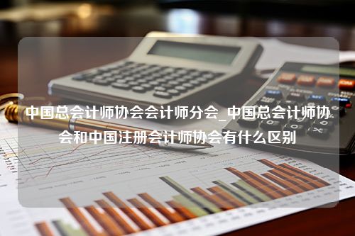 中国总会计师协会会计师分会_中国总会计师协会和中国注册会计师协会有什么区别