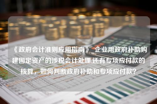 《政府会计准则应用指南》_企业用政府补助购建固定资产的涉税会计处理,还有专项应付款的核算，如何判断政府补助和专项应付款？