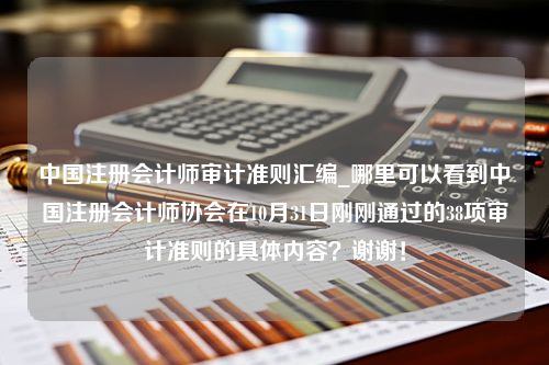 中国注册会计师审计准则汇编_哪里可以看到中国注册会计师协会在10月31日刚刚通过的38项审计准则的具体内容？谢谢！