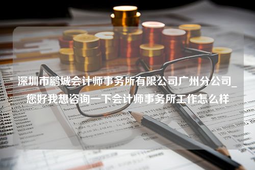 深圳市鹏城会计师事务所有限公司广州分公司_您好我想咨询一下会计师事务所工作怎么样