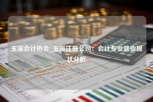 玉溪会计协会_玉溪注册公司：会计专业就业现状分析